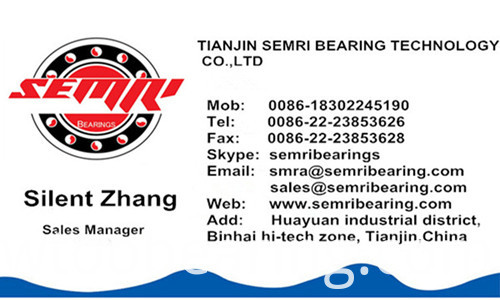 High Performance High Speed Pillow Block Bearing (UCP204)